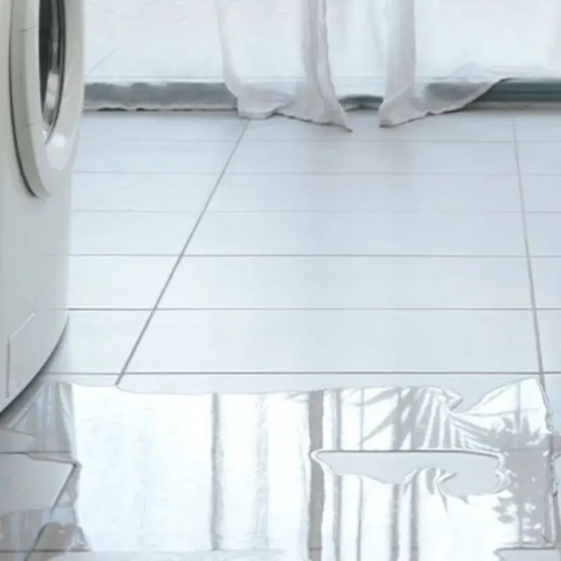 Appliance Leak Cleanup in Pocono Ranch Lands, PA