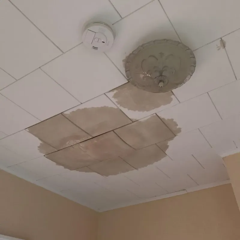 Ceiling Water Damage Repair in Pocono Ranch Lands, PA